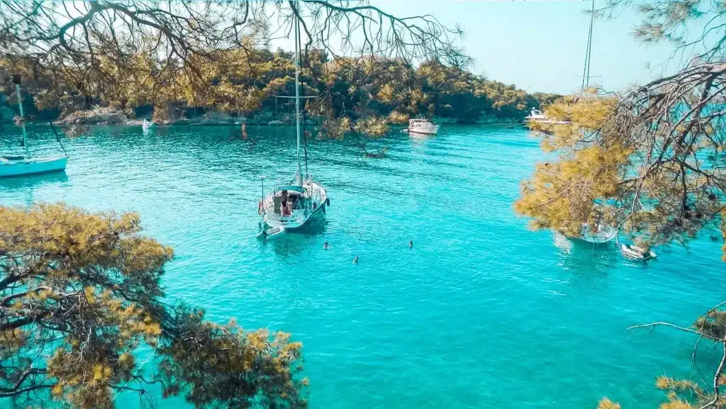 Eine ruhige Bucht mit türkisfarbenem Wasser, umgeben von üppigem Grün, wo zwei Segelboote vor Anker liegen und Menschen neben einem der Boote unter klarem Himmel schwimmen. Genießen Sie ein malerisches Segelt