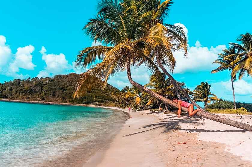 Eine Person liegt auf einer schrägen Palme an einem Sandstrand mit klarem, türkisfarbenem Wasser unter blauem Himmel, umgeben von tropischer Vegetation und einer Segelyacht in der Ferne.