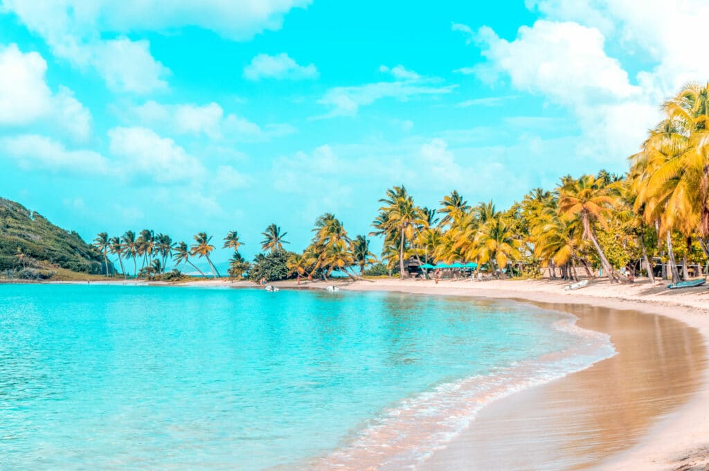 Tropischer Strand mit türkisfarbenem Wasser, goldenem Sand und üppigen Palmen unter einem strahlend blauen Himmel, der eine heitere und einladende Küstenszenerie hervorruft, perfekt für eine Segelreise.