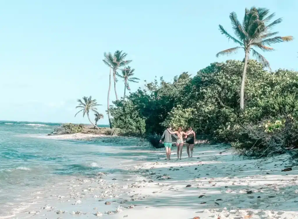 Drei Menschen stehen an einem mit Felsen übersäten Sandstrand mit Blick auf das klare, türkisfarbene Wasser und bereiten sich auf eine Segelreise vor, unter strahlend blauem Himmel und umgeben von üppigem Grün und hohen Palmen.
