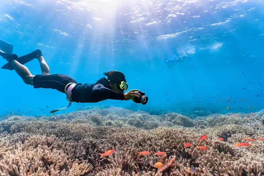 Ein Taucher in Neoprenanzug und Flossen erkundet während seines Segelabenteuers ein lebendiges Korallenriff mit kleinen Fischen unter klarem, blauem Wasser, das vom einfallenden Sonnenlicht beleuchtet wird.