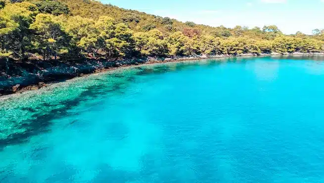 Luftaufnahme einer kristallklaren, türkisfarbenen Bucht, umgeben von üppigen grünen Wäldern, perfekt für einen Segeltörn an einem sonnigen Tag.