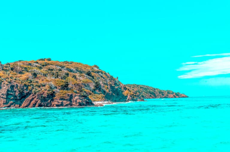 Kräftig türkisfarbenes Meereswasser grenzt an eine üppige, felsige Insel mit dichtem grünem und gelbem Laub unter einem strahlend blauen Himmel, perfekt für eine Segelreise.