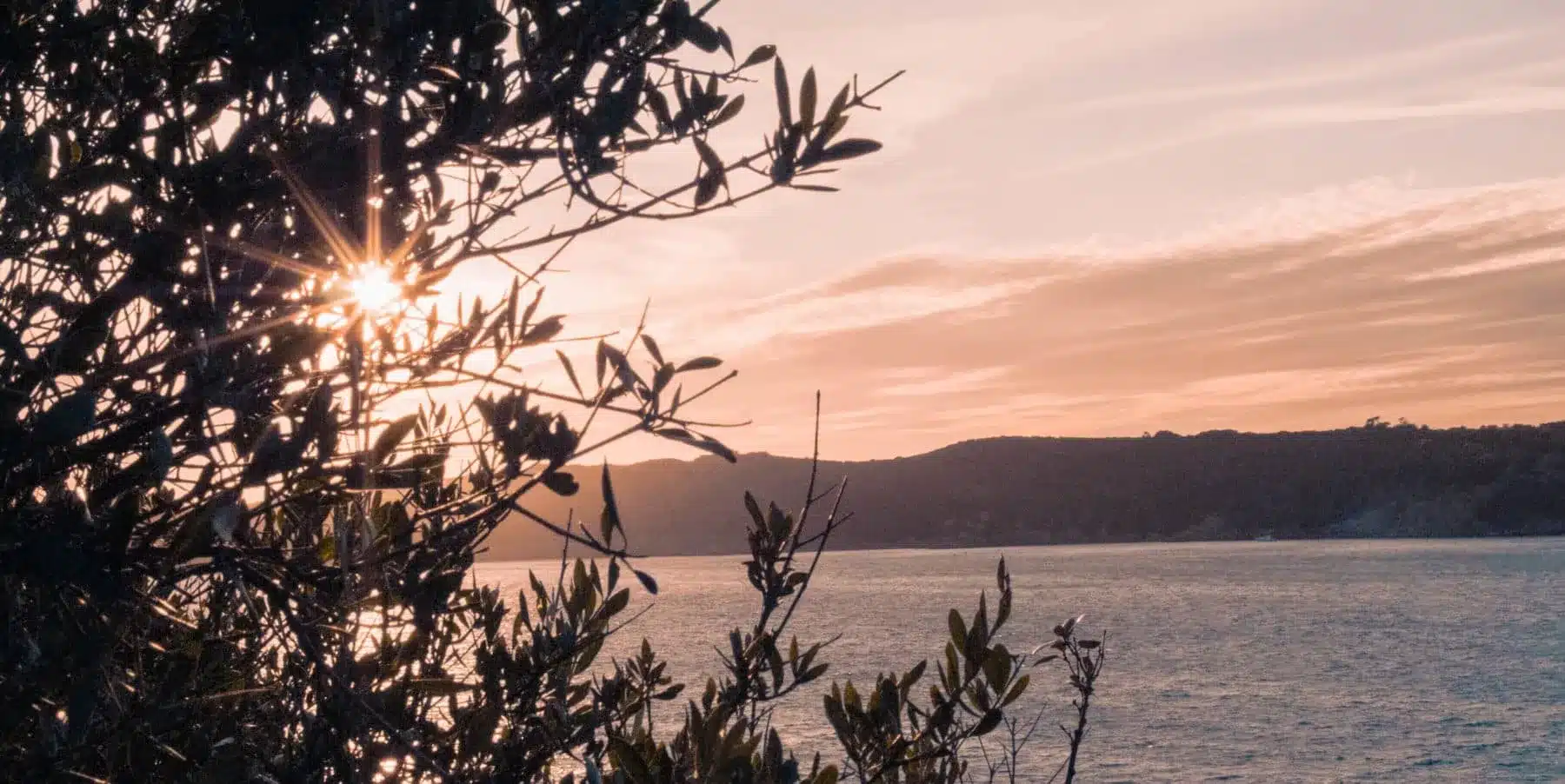 Sonnenuntergang über einem ruhigen Meer mit Sonnenstrahlen, die durch die Äste eines Baums auf der linken Seite fallen, mit Blick auf eine entfernte hügelige Küste vom Deck eines Katamarans.