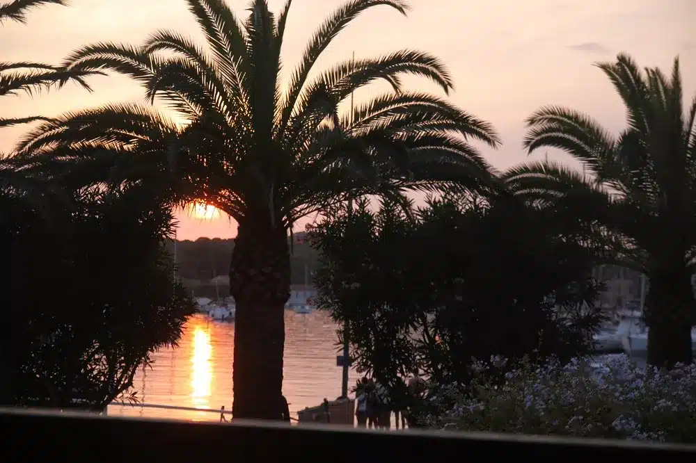 Sonnenuntergang durch Palmen mit Blick auf eine ruhige Bucht mit Spiegelungen im Wasser, die eine heitere Küstenkulisse hervorheben, die perfekt für einen Segelurlaub ist.