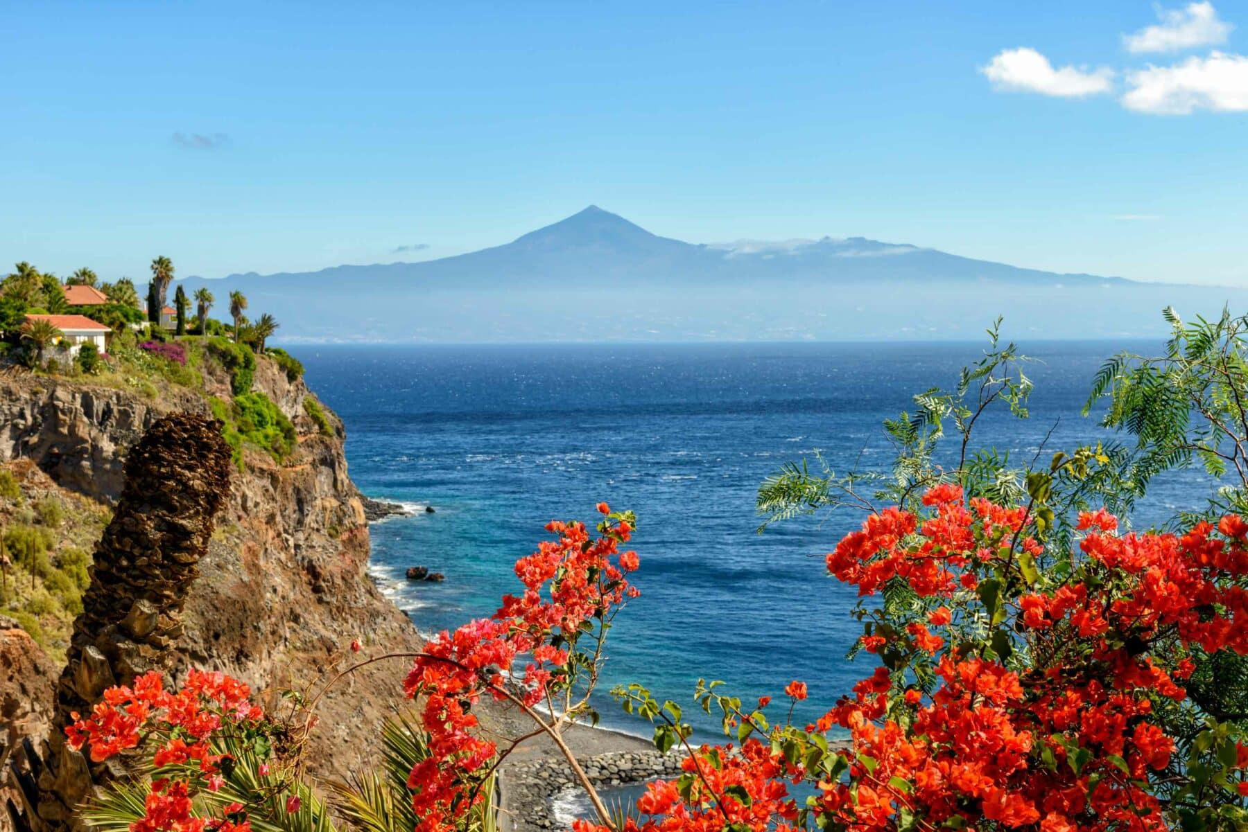 Ein malerischer Meerblick mit dem Berg Teide im Hintergrund, umrahmt von leuchtend roten Blumen und üppigem Grün auf einer Klippe unter einem klaren blauen Himmel, perfekt für einen Segeltörn.