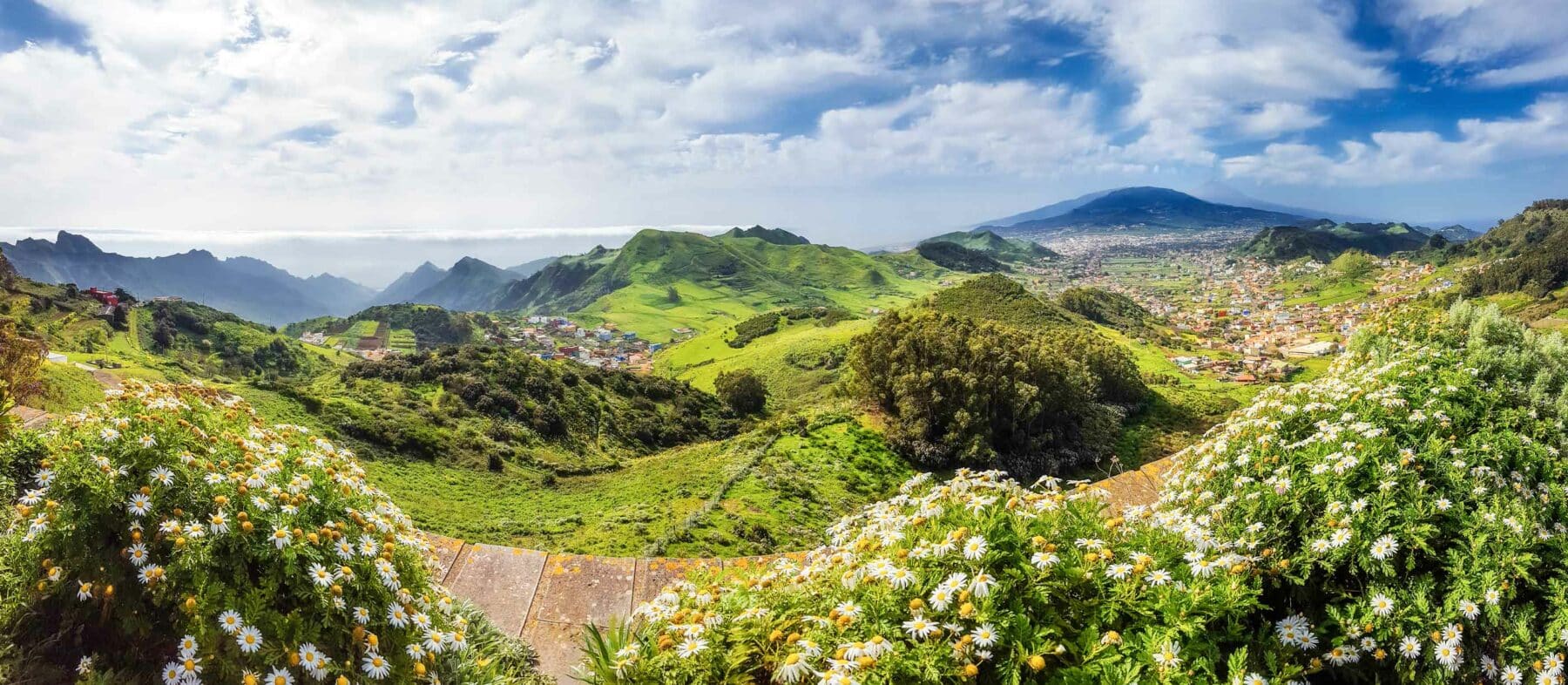 Panoramablick auf üppig grüne Hügel und eine Stadt in der Ferne, mit weißen Blumen im Vordergrund unter einem sonnigen, wolkenverhangenen Himmel.