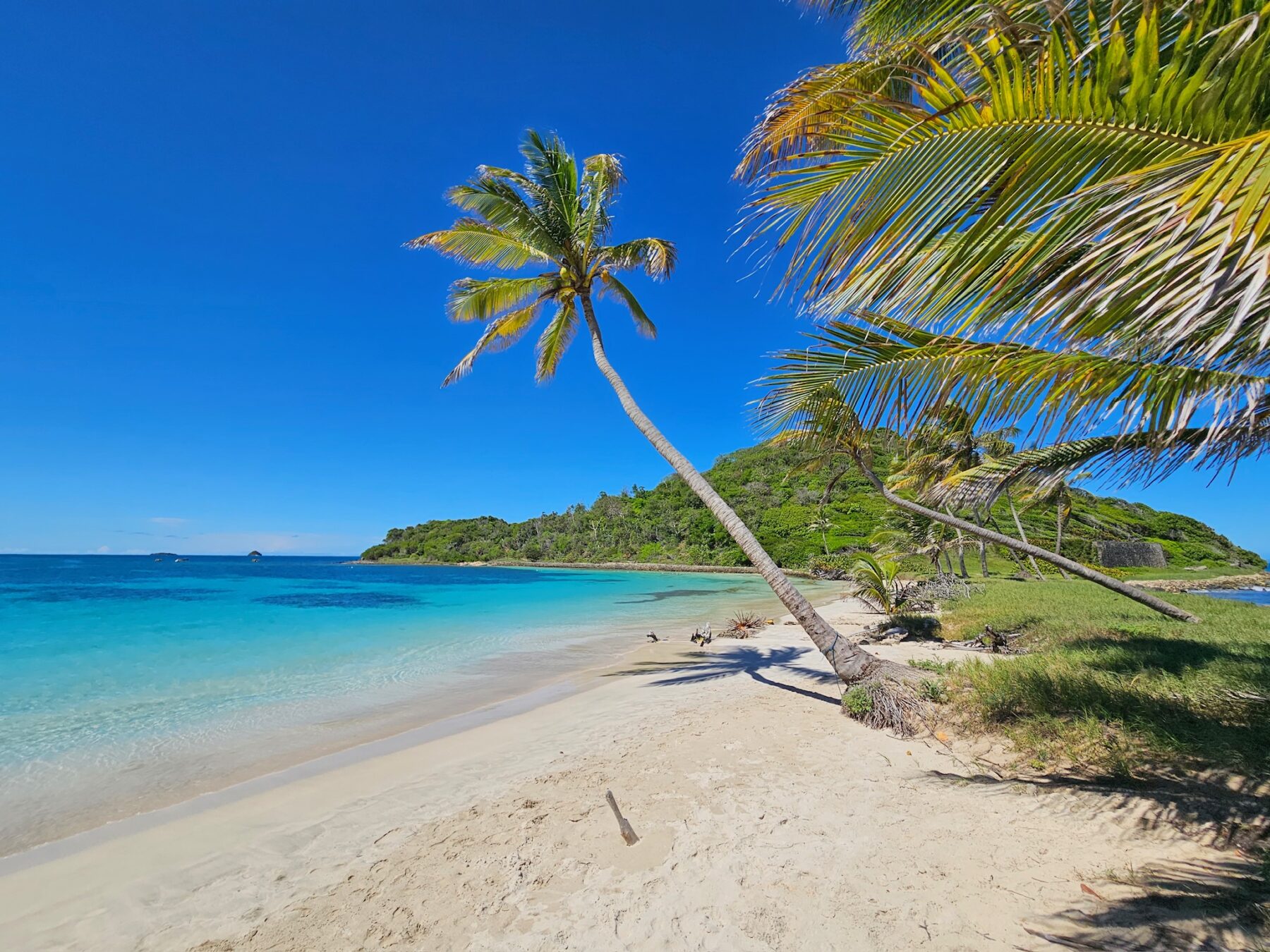 Tropischer Strand mit klarem blauem Wasser, weißem Sand und einer schiefen Palme unter einem strahlend blauen Himmel. Laub und kleine Felsen sind in der Nähe des Wasserrands zu sehen, wo ein Katamaran vor Anker liegt.
