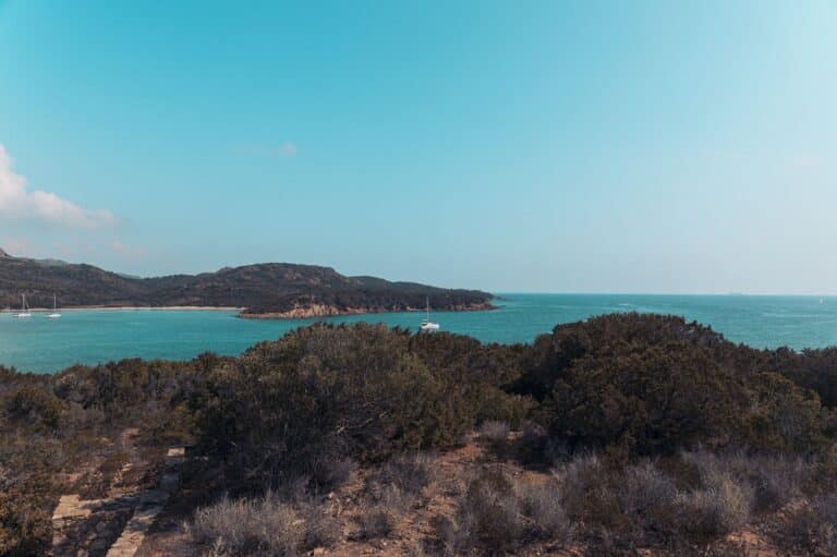Eine ruhige Küstenlandschaft mit üppig grünen Hügeln und klarem Himmel über einem ruhigen blauen Meer mit Katamaranen an der Küste.