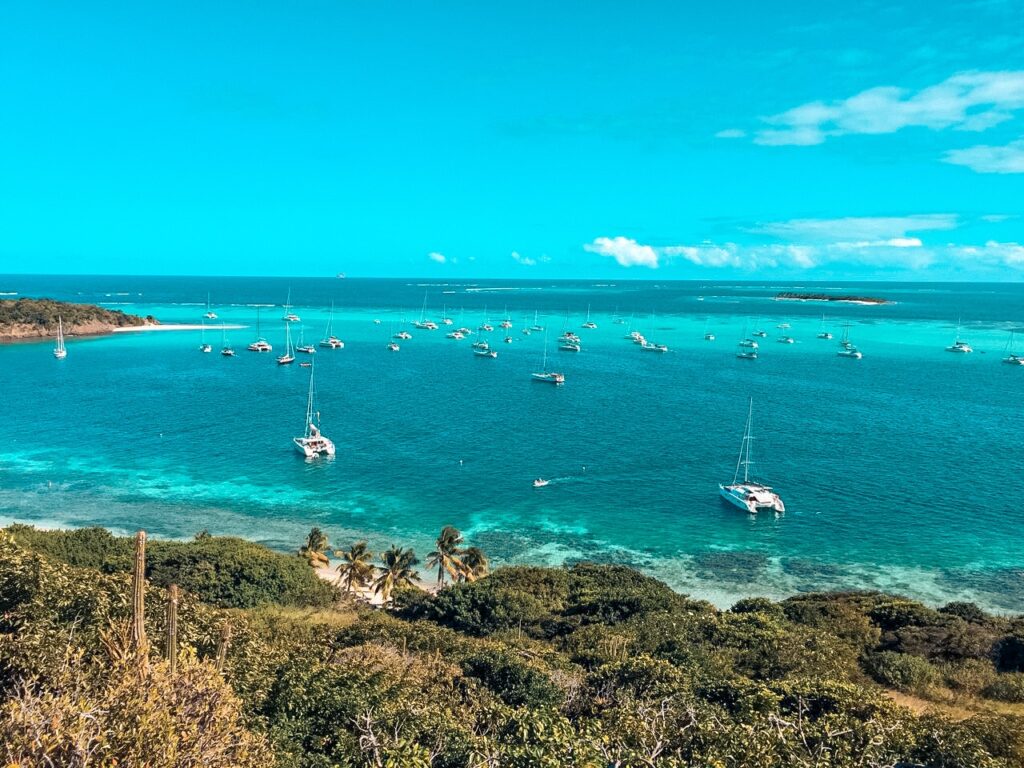Luftaufnahme einer tropischen Bucht mit türkisfarbenem Wasser und zahlreichen in Ufernähe vor Anker liegenden Katamaranen, umgeben von üppigem Grün unter einem strahlend blauen Himmel. Karibik
