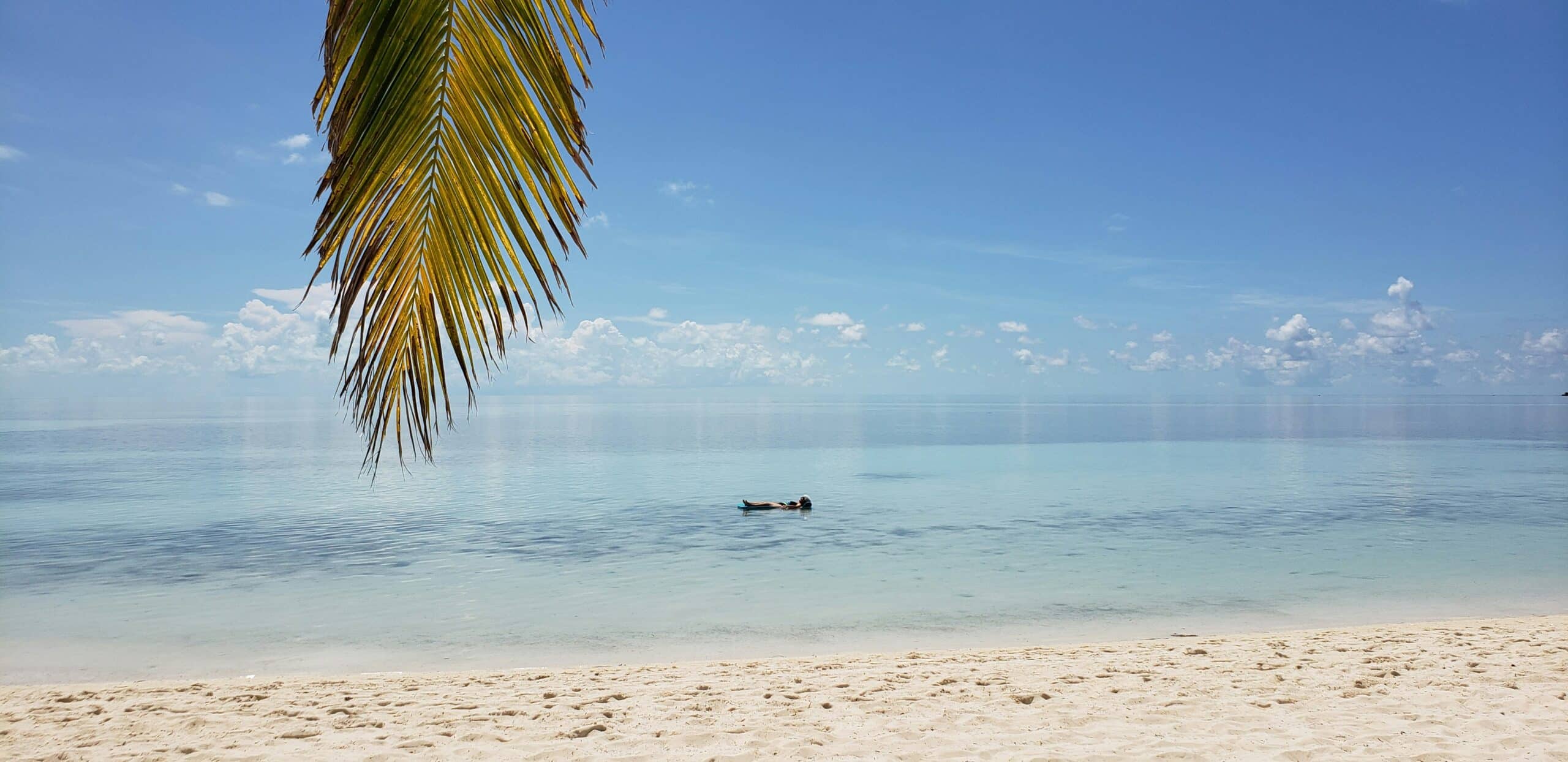 Eine ruhige Strandszene mit klarem blauen Himmel und ruhigem, türkisfarbenem Wasser. Ein einzelner Palmenzweig hängt in der oberen linken Ecke und eine Person schwimmt auf dem Rücken im ruhigen Wasser nahe dem Horizont. In der Nähe gleitet anmutig ein eleganter Katamaran aus einem Segelurlaub dahin. Weicher weißer Sand bedeckt den Strand im Vordergrund.