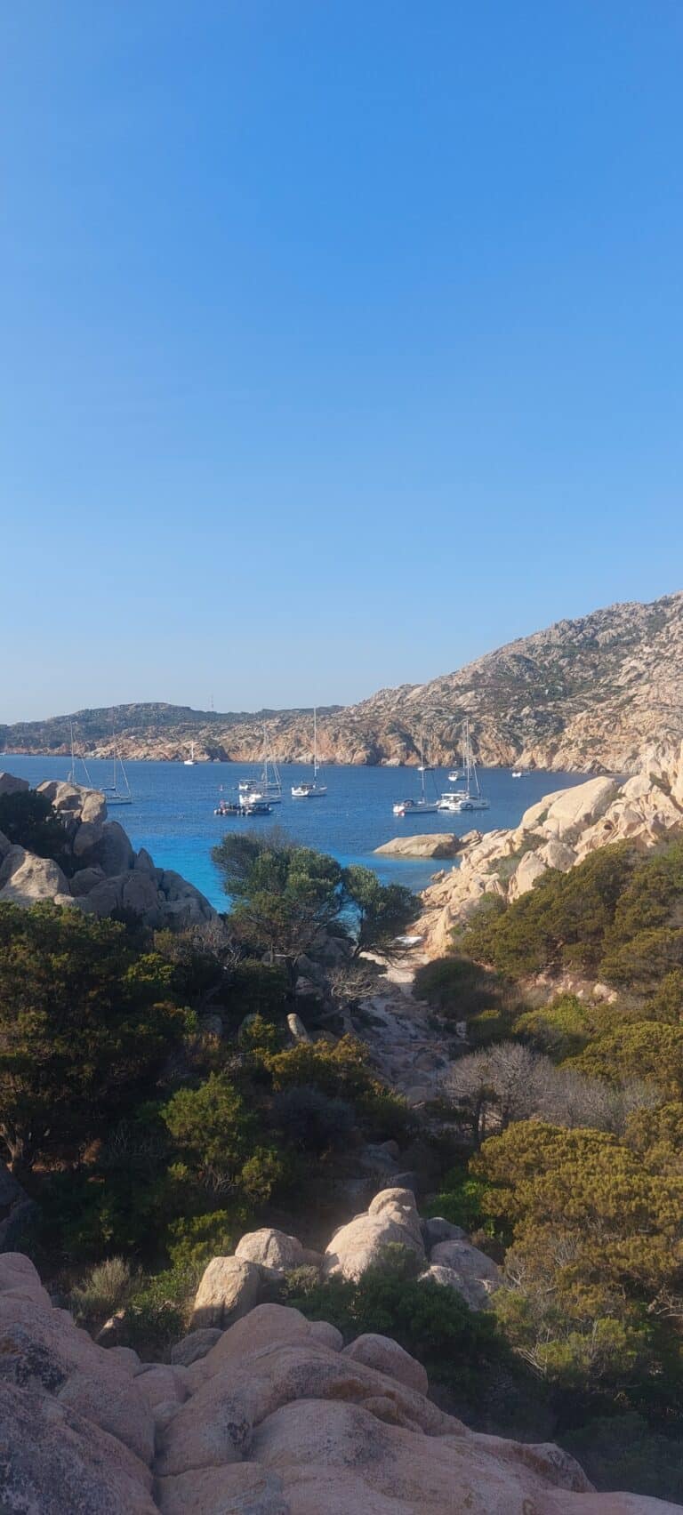 Eine malerische Küstenszene auf Sardinien zeigt eine felsige Küste, die mit Grün bedeckt ist und in ein klares, blaues Meer mündet. Mehrere Segelboote liegen im Wasser vor Anker und im Hintergrund erheben sich Hügel mit spärlicher Vegetation unter einem klaren, strahlend blauen Himmel – perfekt für einen Segelurlaub.