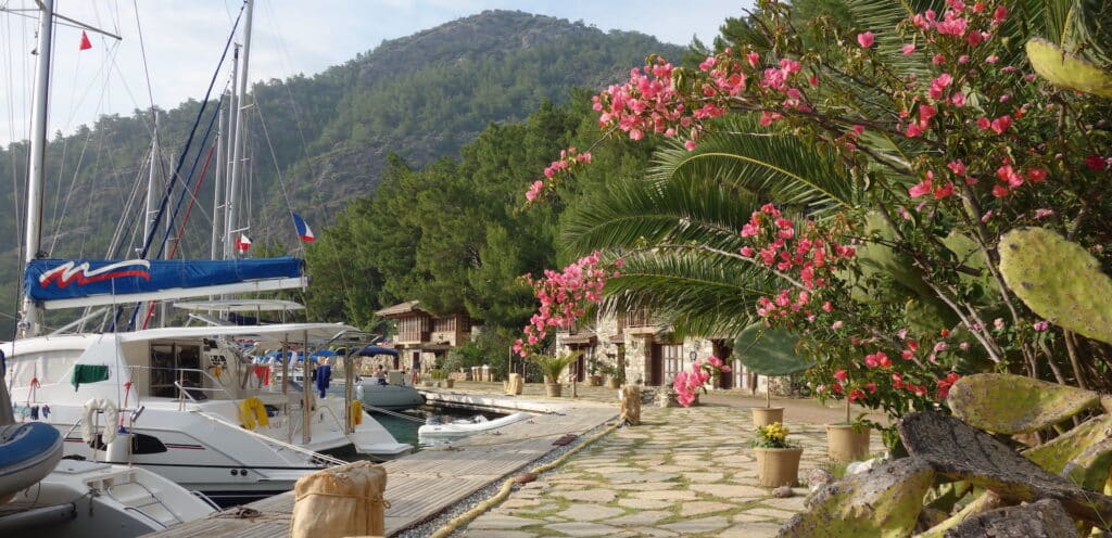 Mediterranean culture