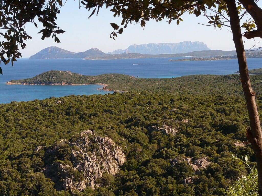 Blick über die Costa Smeralda auf Sardinien
