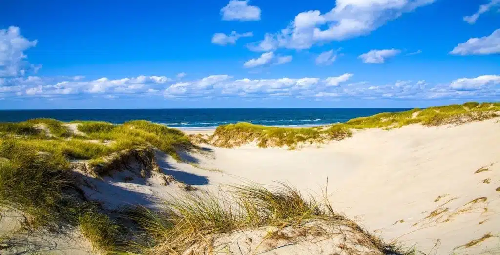 Eine malerische Aussicht auf Sanddünen, die mit Büscheln grünen Grases bedeckt sind, unter einem strahlend blauen Himmel mit vereinzelten Wolken. Die Dünen führen zu einem ruhigen, weiten Ozean, wo am Horizont ein Katamaran zu sehen ist, der eine idyllische und ruhige Landschaft schafft.